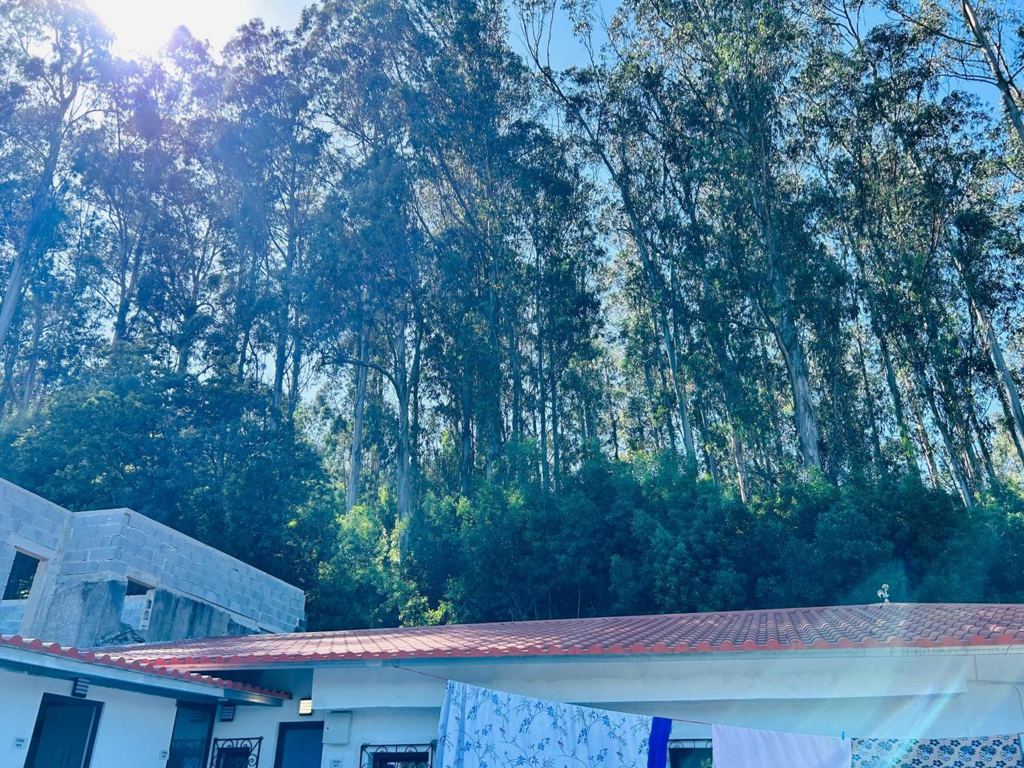 Japji Guest House Esmeriz Vitoria Экстерьер фото